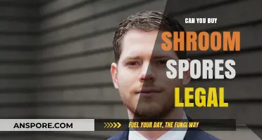 Is Buying Shroom Spores Legal? Understanding the Laws and Risks