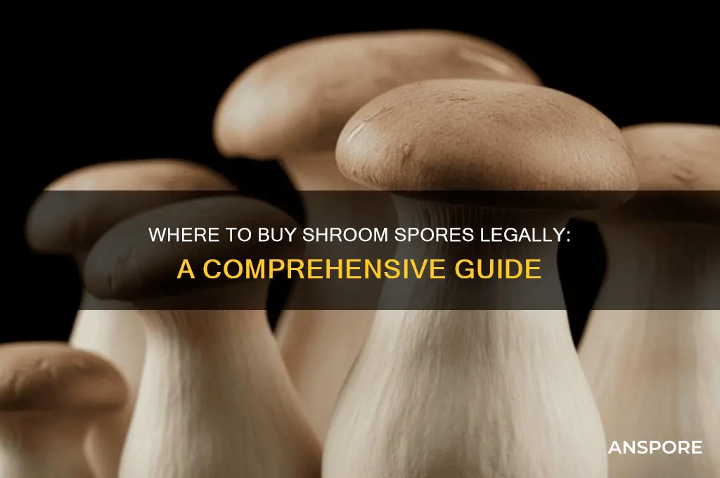 can you buy shroom spores