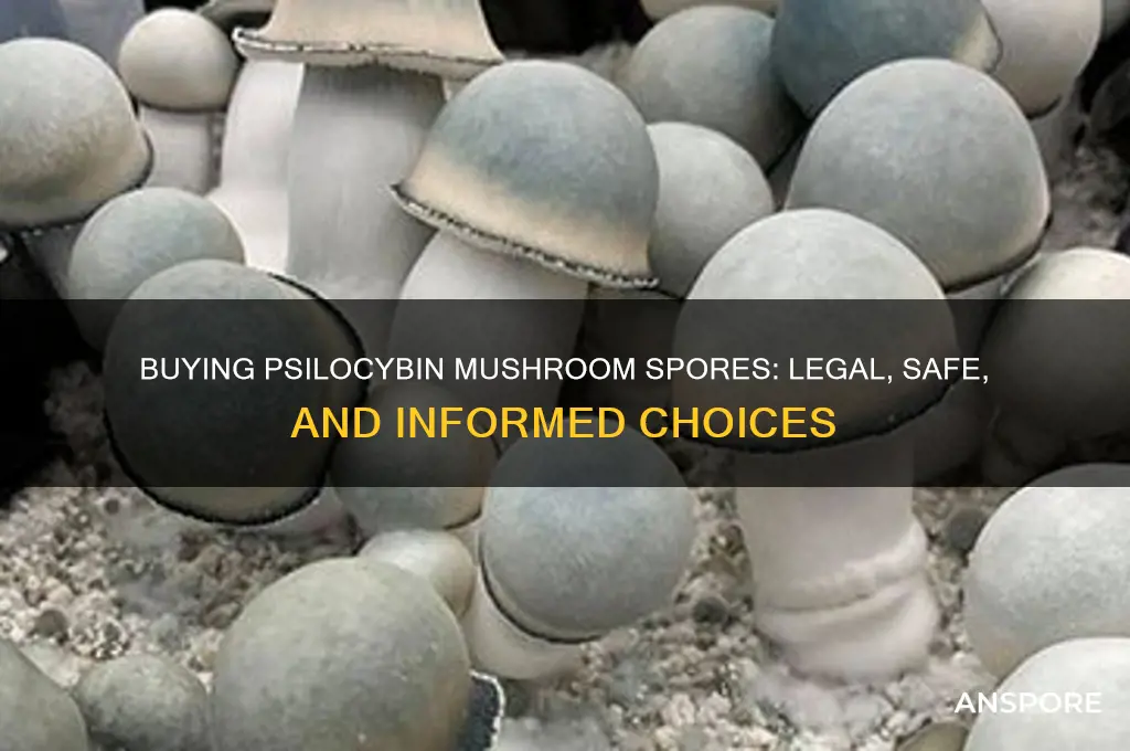 can you buy spores for psilocybin mushrooms