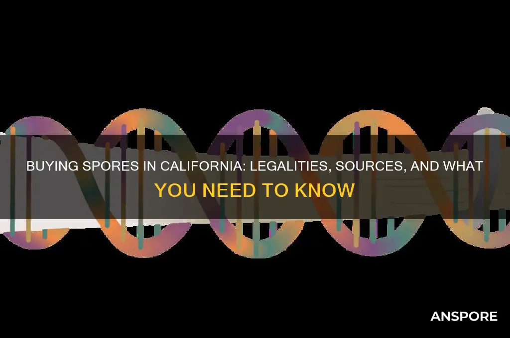 can you buy spores in california