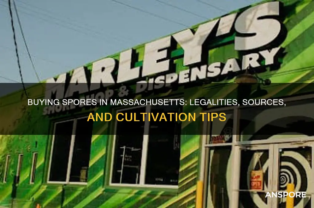 can you buy spores in massachusetts