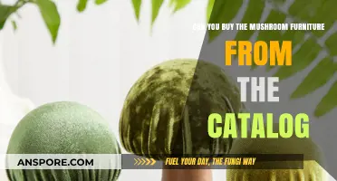 Mushroom Furniture Catalog Purchase: Is It Possible to Buy?