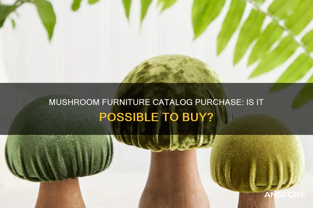 can you buy the mushroom furniture from the catalog