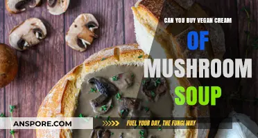 Discover Vegan Cream of Mushroom Soup: Where to Buy It