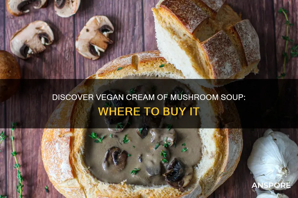 can you buy vegan cream of mushroom soup