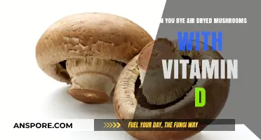 Boost Your Vitamin D Intake: Air-Dried Mushrooms as a Healthy Option