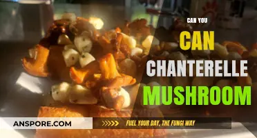 Canning Chanterelle Mushrooms: A Complete Guide to Preserving Your Harvest