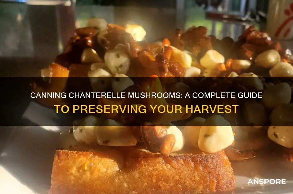 can you can chanterelle mushrooms