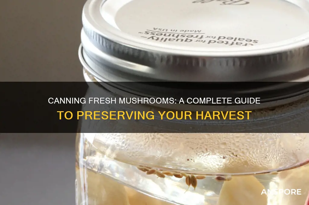 can you can fresh mushrooms