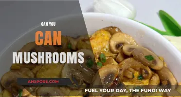 Canning Mushrooms: A Complete Guide to Preserving Your Fungal Harvest