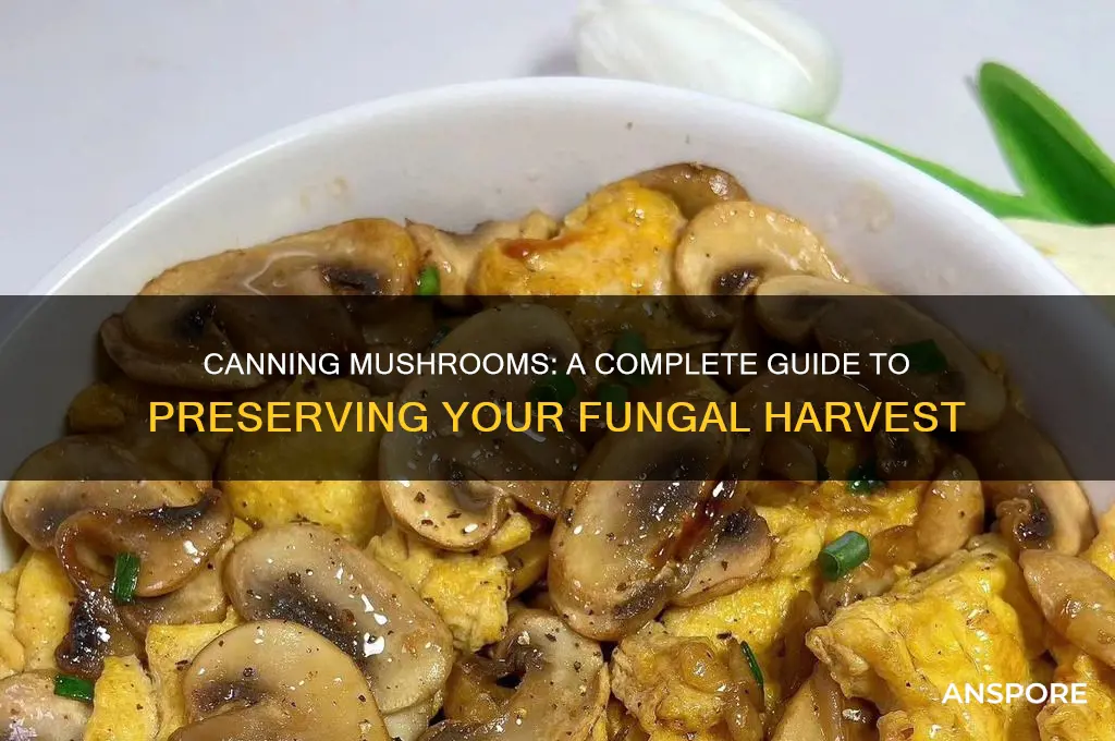 can you can mushrooms