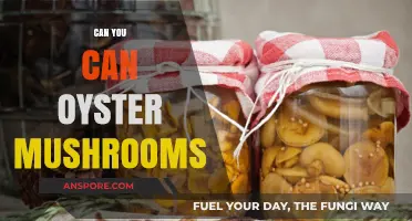 Canning Oyster Mushrooms: A Simple Guide to Preserving Your Harvest