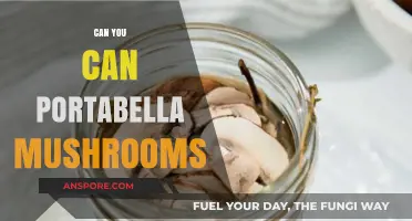 Canning Portabella Mushrooms: A Step-by-Step Guide for Home Preservation