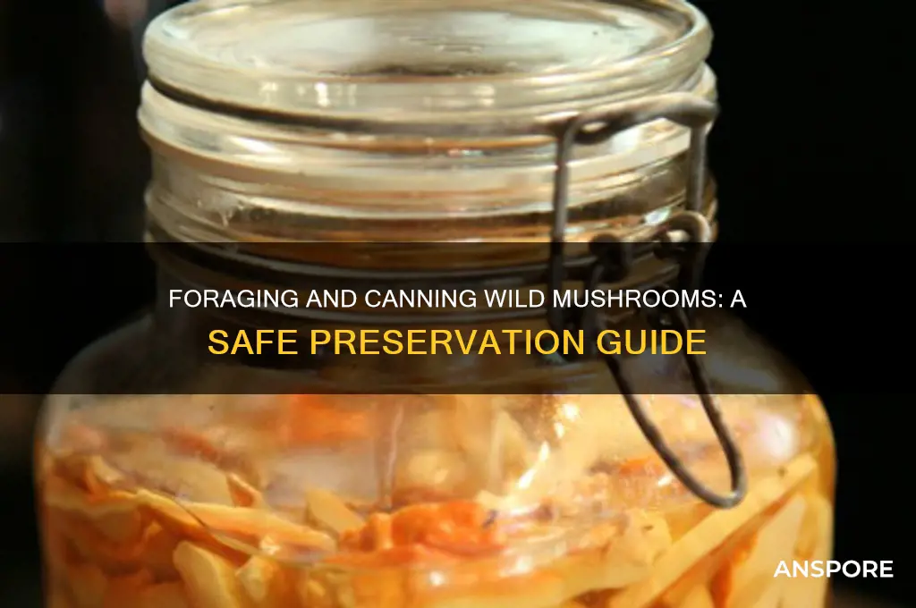 can you can wild mushrooms