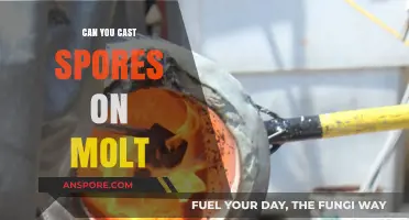 Casting Spores on Molt: Techniques, Timing, and Effective Strategies Explained