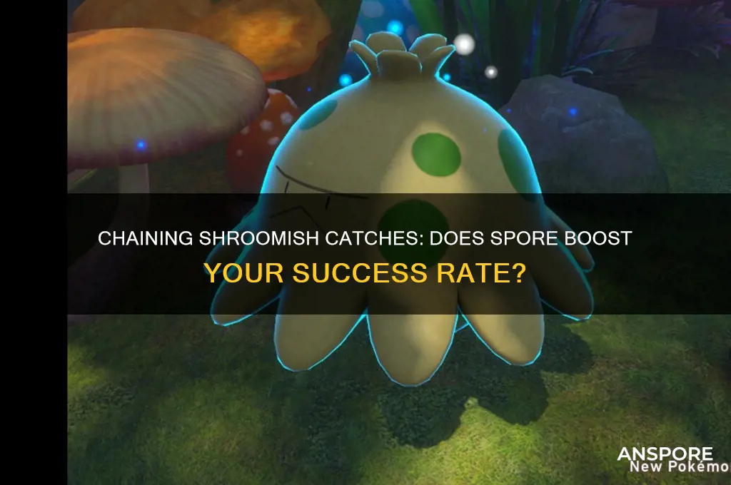 can you chain catch a shroomish with spore