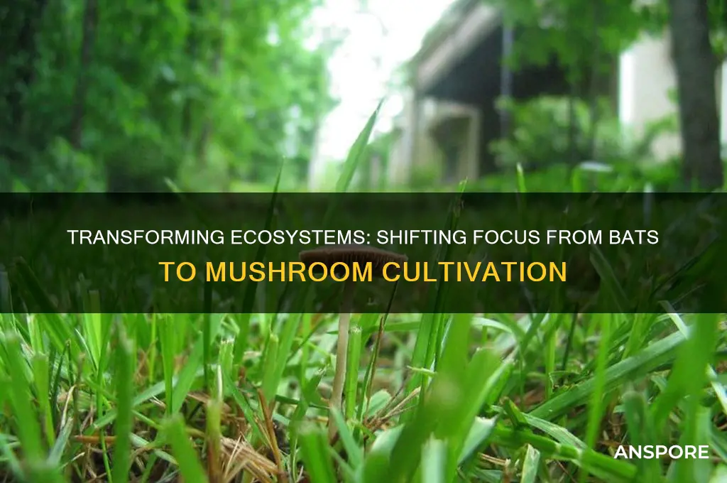 can you change from bats to mushrooms