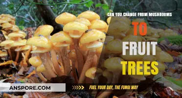 Transforming Your Garden: From Mushroom Cultivation to Growing Fruit Trees