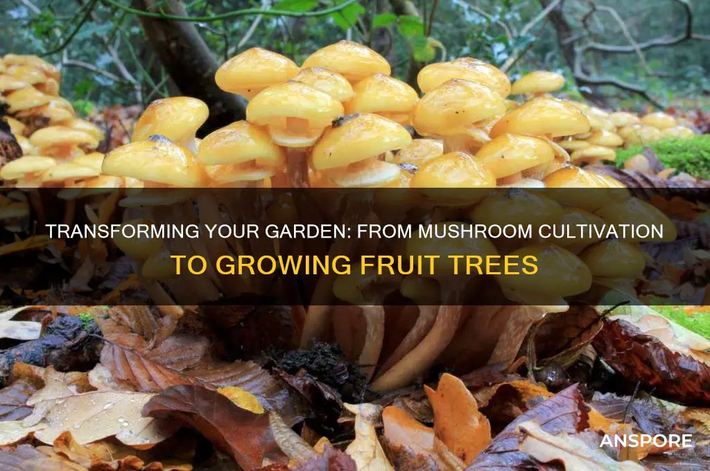 can you change from mushrooms to fruit trees