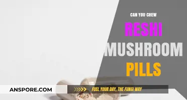 Can You Chew Reishi Mushroom Pills? Benefits, Risks, and Proper Use