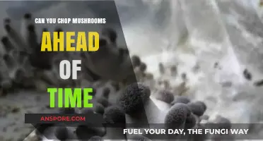 Prepping Mushrooms in Advance: A Time-Saving Kitchen Hack