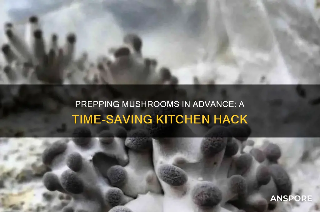 can you chop mushrooms ahead of time
