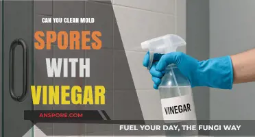 Vinegar's Power: Effective Mold Spores Cleaning Solution or Myth?