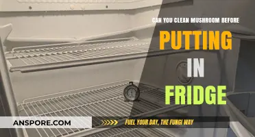 Should You Clean Mushrooms Before Refrigerating? Tips for Freshness