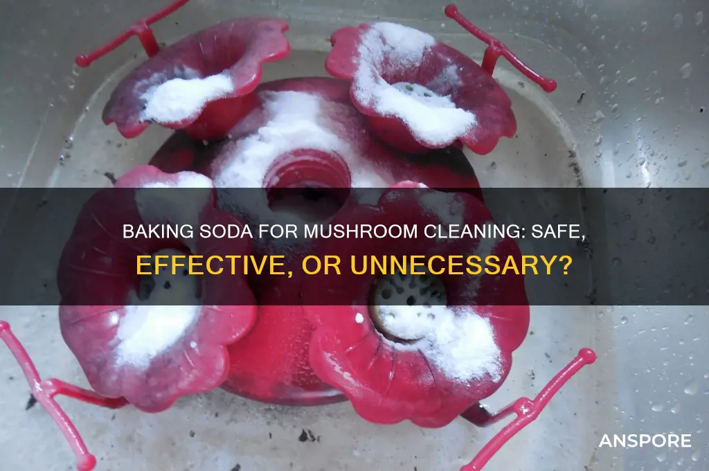 can you clean mushrooms with baking soda