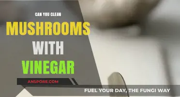 Vinegar for Mushroom Cleaning: Effective Method or Culinary Myth?