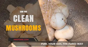 How to Properly Clean Mushrooms: Tips and Techniques for Freshness