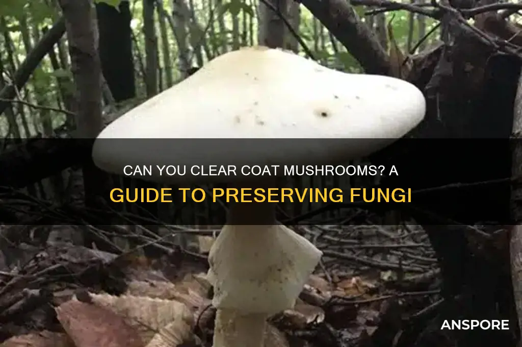 can you clear coat mushrooms
