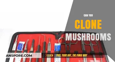 Cloning Mushrooms: Techniques, Benefits, and Ethical Considerations Explained