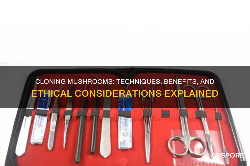 can you clone mushrooms