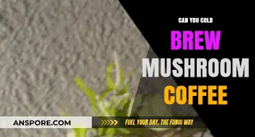 Cold Brew Mushroom Coffee: A Unique Twist on Your Morning Brew