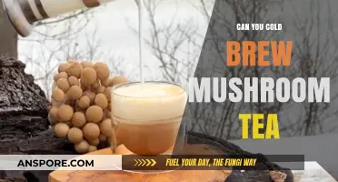 Cold Brew Mushroom Tea: A Unique, Healthy, and Refreshing Beverage Option