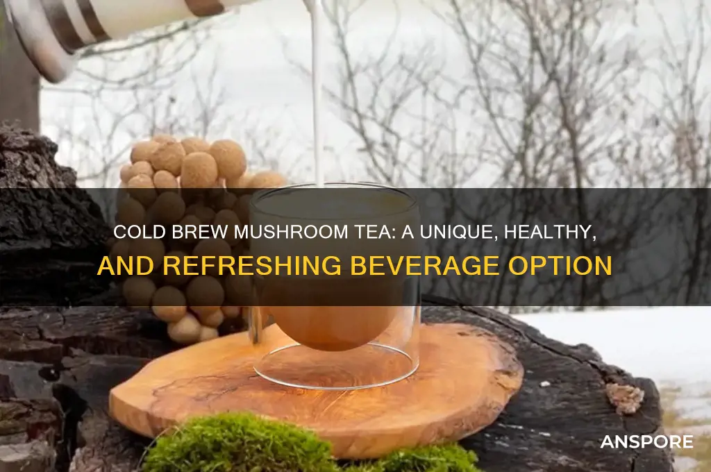 can you cold brew mushroom tea
