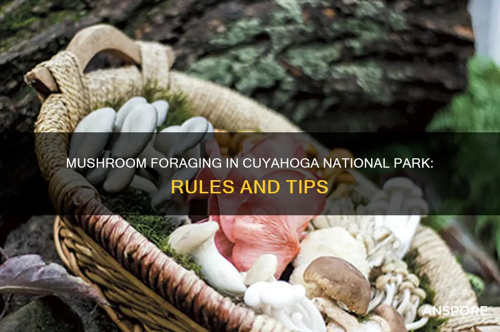 can you collect mushrooms in cuyahoga national park