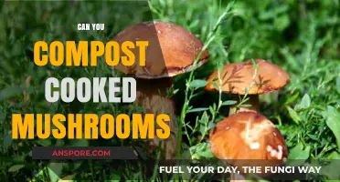 Composting Cooked Mushrooms: A Guide to Eco-Friendly Kitchen Waste