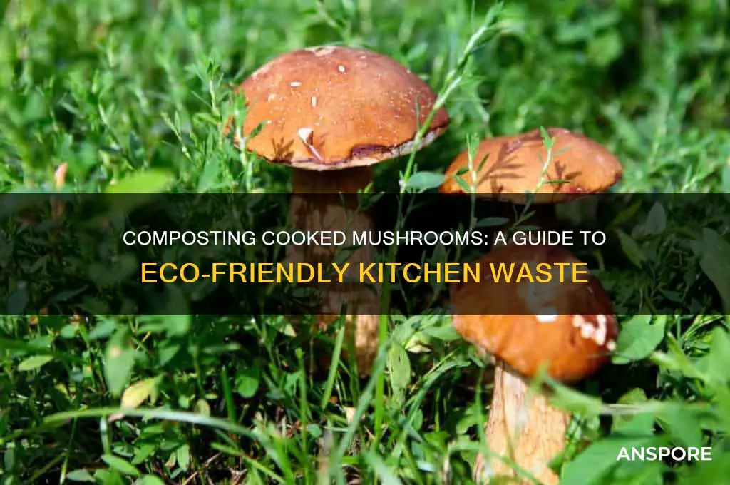 can you compost cooked mushrooms