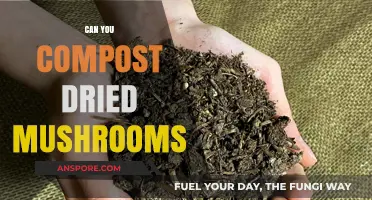 Composting Dried Mushrooms: A Sustainable Way to Recycle Kitchen Scraps