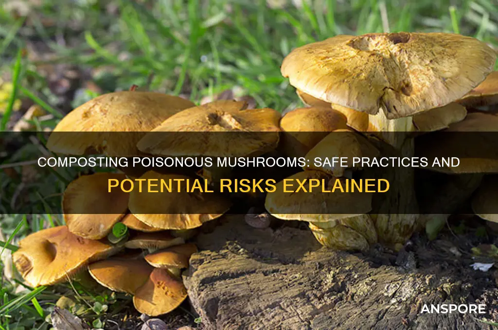 can you compost poisonous mushrooms
