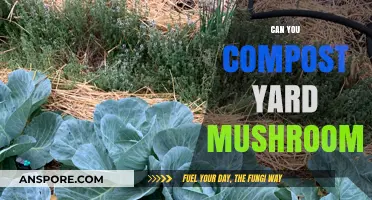 Composting Yard Mushrooms: Safe Practices and Benefits for Your Garden