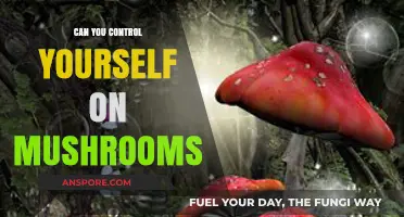 Navigating the Psychedelic Experience: Self-Control on Magic Mushrooms