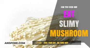 Slimy Mushrooms: Safe to Cook and Eat or Toxic?