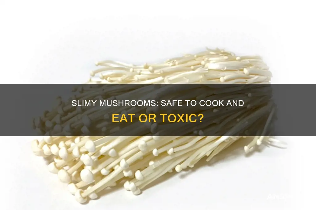 can you cook and eat slimy mushrooms