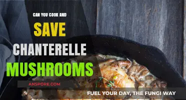 Cooking and Preserving Chanterelle Mushrooms: Tips for Freshness and Flavor