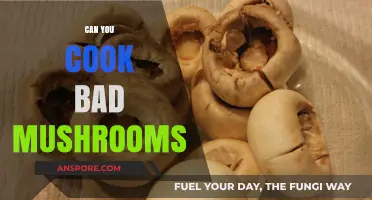 Can You Cook Bad Mushrooms? Risks, Safety, and What to Avoid