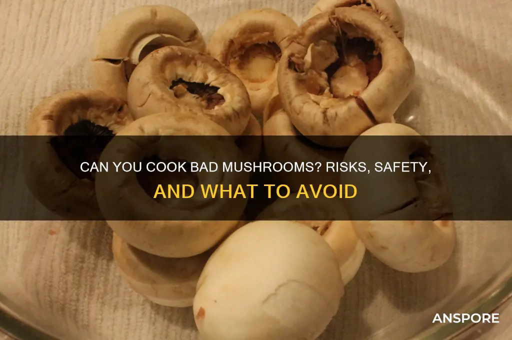 can you cook bad mushrooms