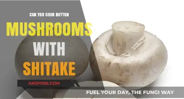 Button Mushrooms and Shiitake: A Delicious Culinary Combination Guide